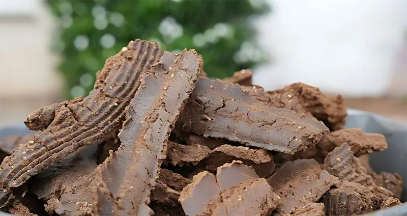 Solvent Extracted Neem Cake
